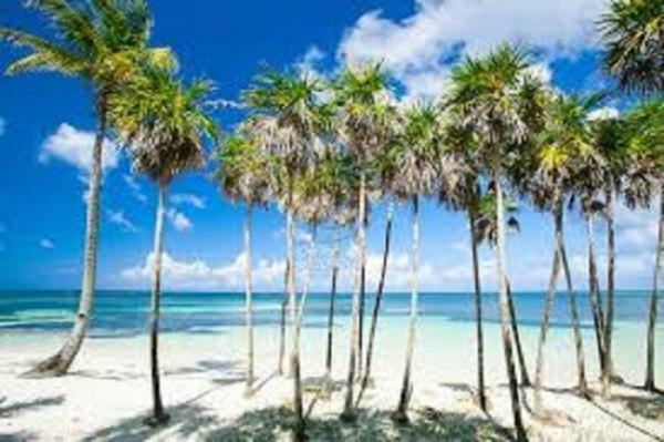 마르베야 Lorcrimar Puerto Banus 아파트 외부 사진